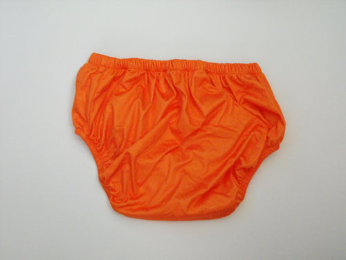 Swhimsy Reusable Adult Swim Diaper & Wet Bag Set